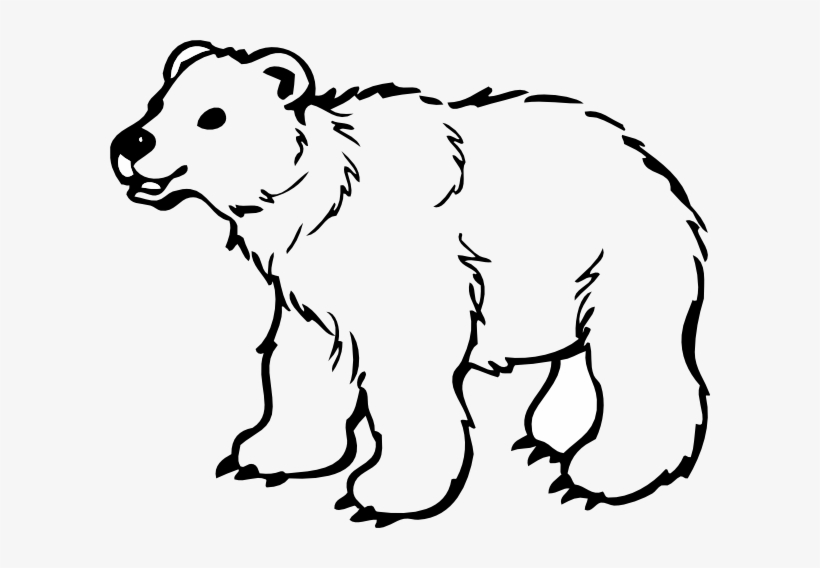 Polar Bear Clipart U0026middot Sheet Clipart U0026middot.