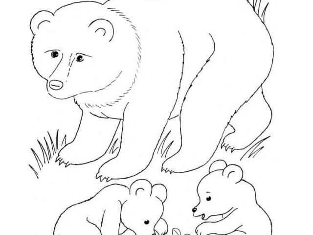 bear cub black and white clipart 20 free Cliparts | Download images on ...