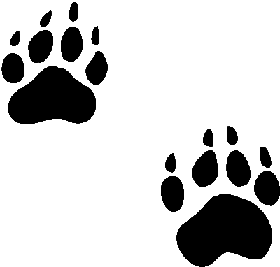 Free Bear Footprint, Download Free Clip Art, Free Clip Art.