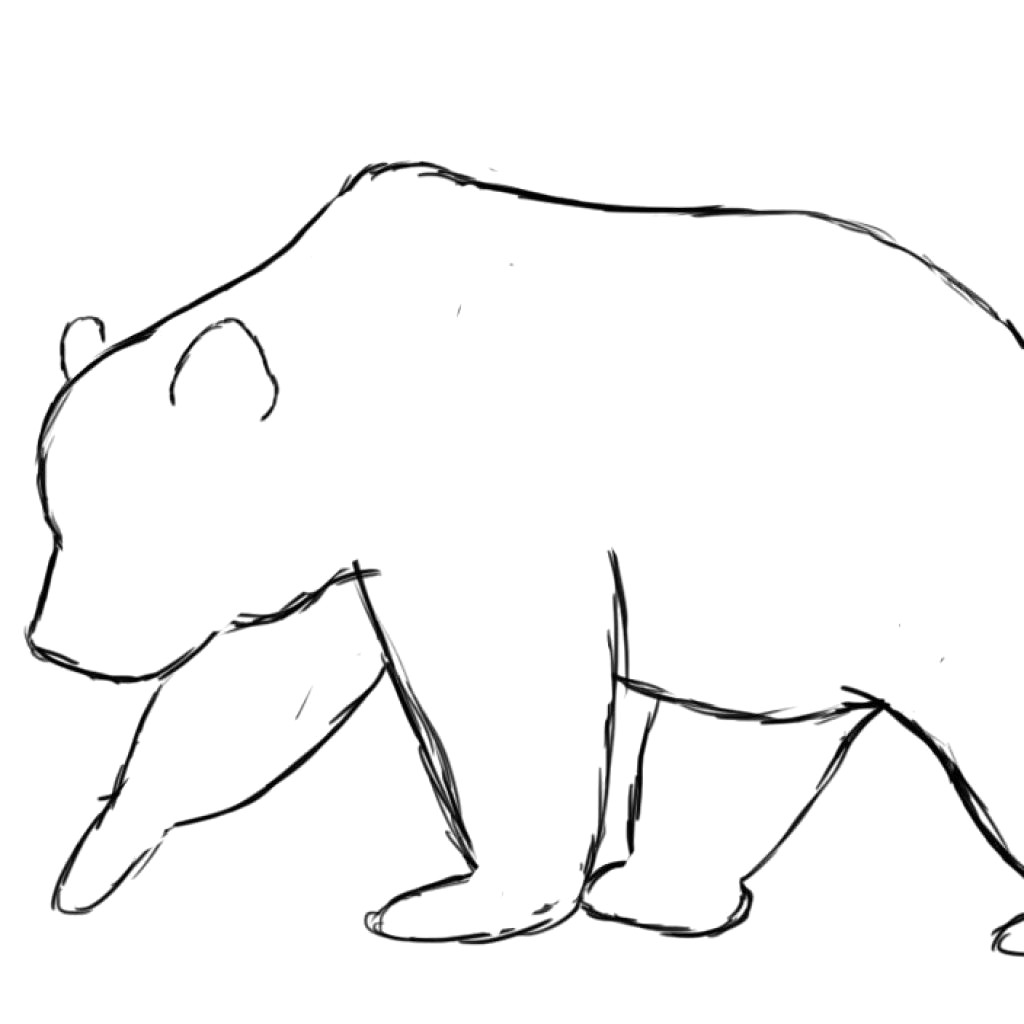 bear outline clipart 20 free Cliparts | Download images on Clipground 2023