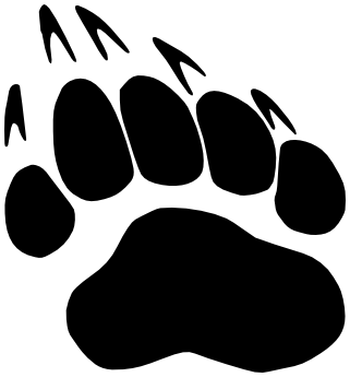 Free Free Bear Paw Svg Free 470 SVG PNG EPS DXF File