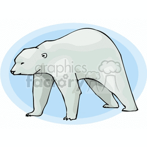 Profile of a polar bear clipart. Royalty.