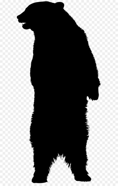 American black bear Brown bear Silhouette.