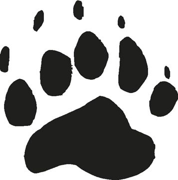 bear track. I want this on the bottom of my foot I think...