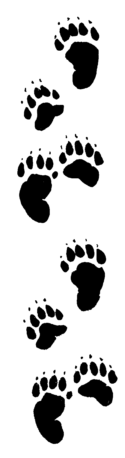 Free Bear Footprint, Download Free Clip Art, Free Clip Art on.