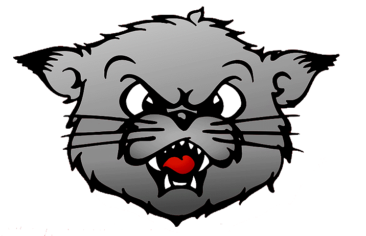 Free Bear Cat Cliparts, Download Free Clip Art, Free Clip Art on.