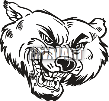 bearcat clipart 20 free Cliparts | Download images on Clipground 2023