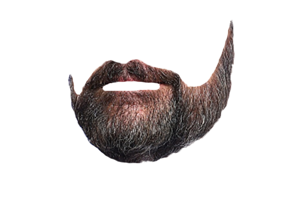 HQ Beard PNG Transparent Beard.PNG Images..