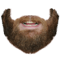 beard png transparent 20 free Cliparts | Download images on Clipground 2021