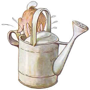 Free Beatrix Potter Cliparts, Download Free Clip Art, Free Clip Art.