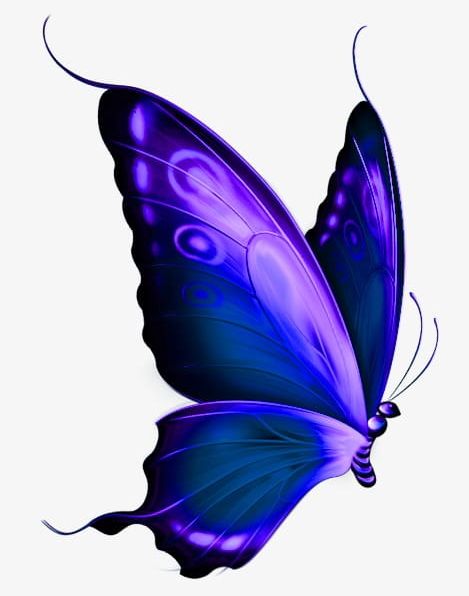 Purple Butterfly PNG, Clipart, Animal, Beautiful, Butterfly.