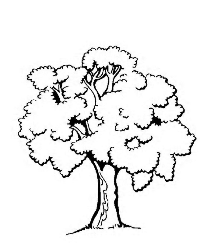Beauty Tree Clipart Black And White.