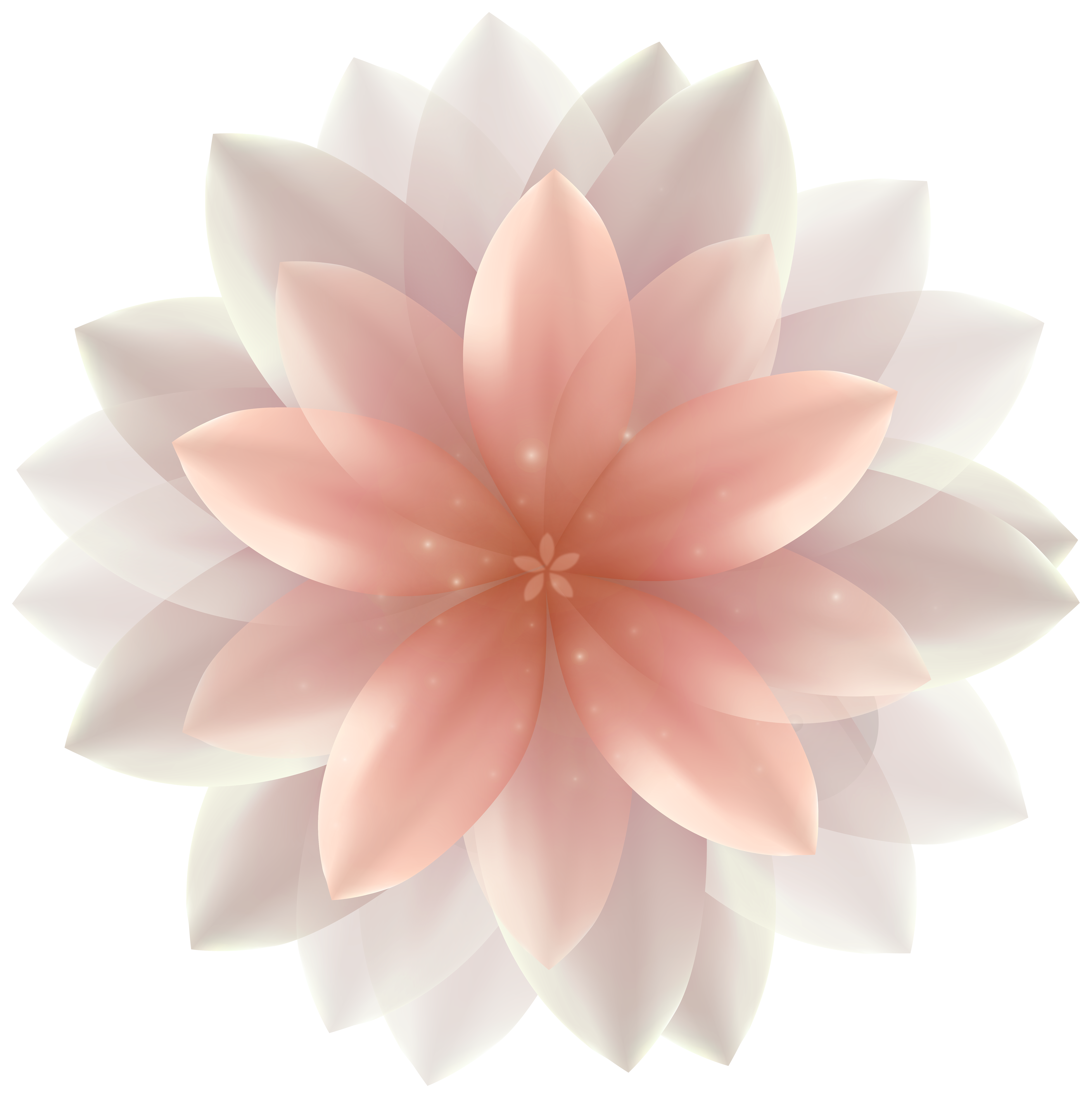 Beautiful Transparent Flower PNG Clipart Image.