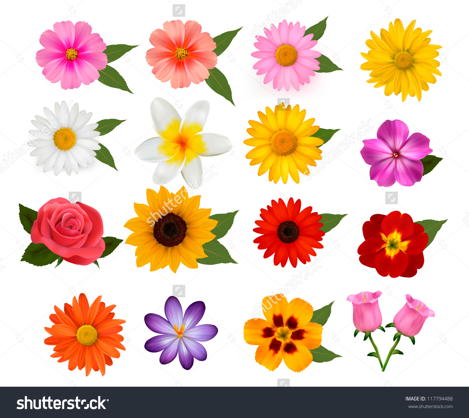 Beautiful colors clipart 20 free Cliparts | Download images on ...