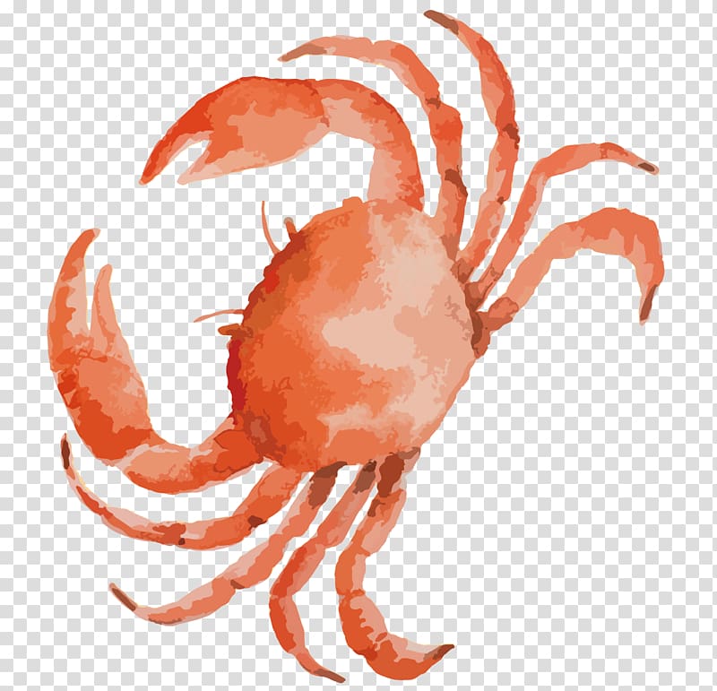 beautiful crab drawing clipart png 10 free Cliparts | Download images