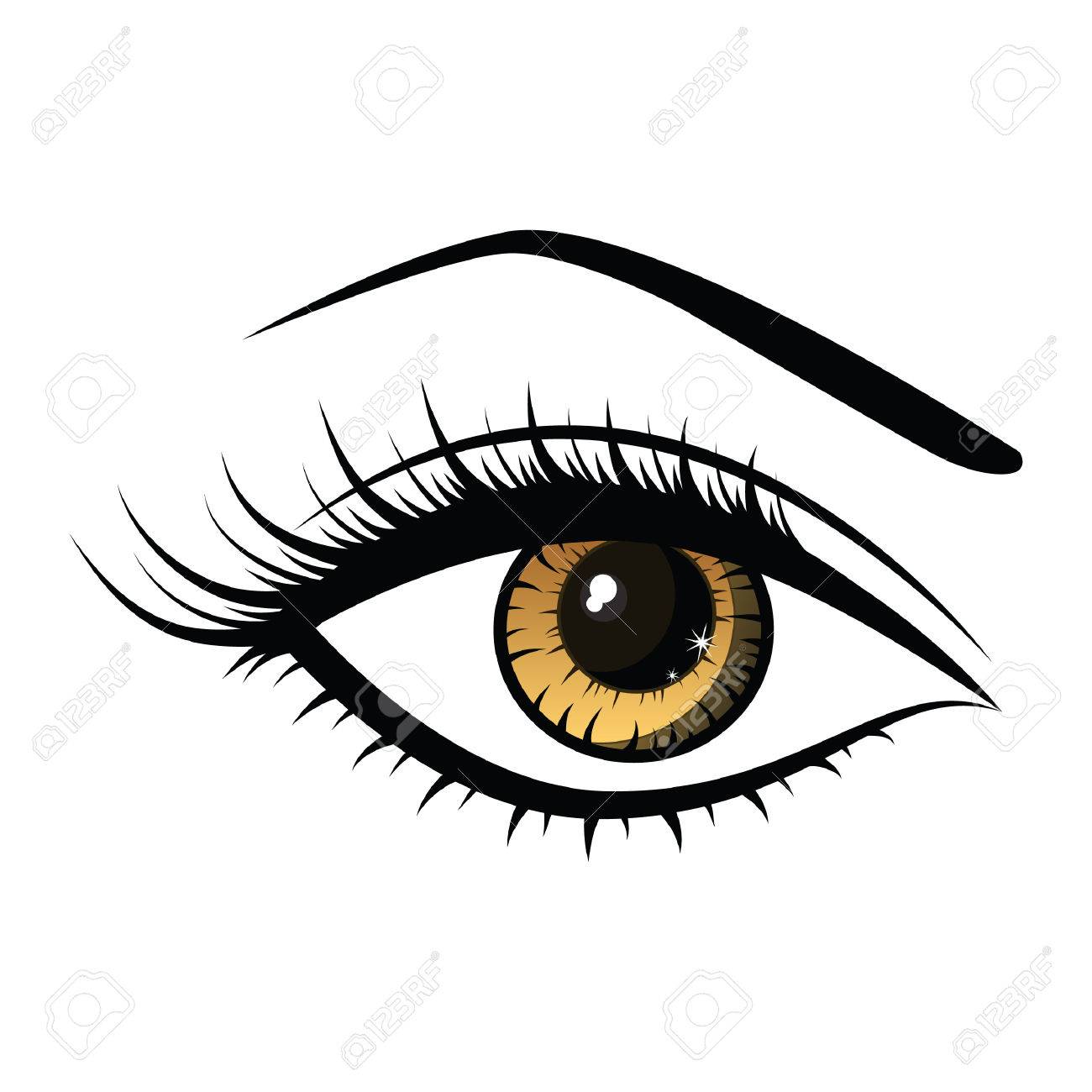 beautiful female eye.
