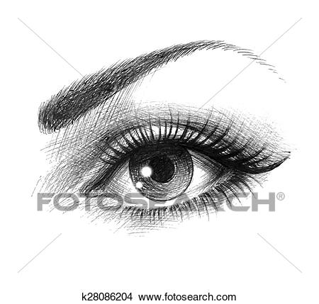 Beautiful eyes of a young woman Clipart.