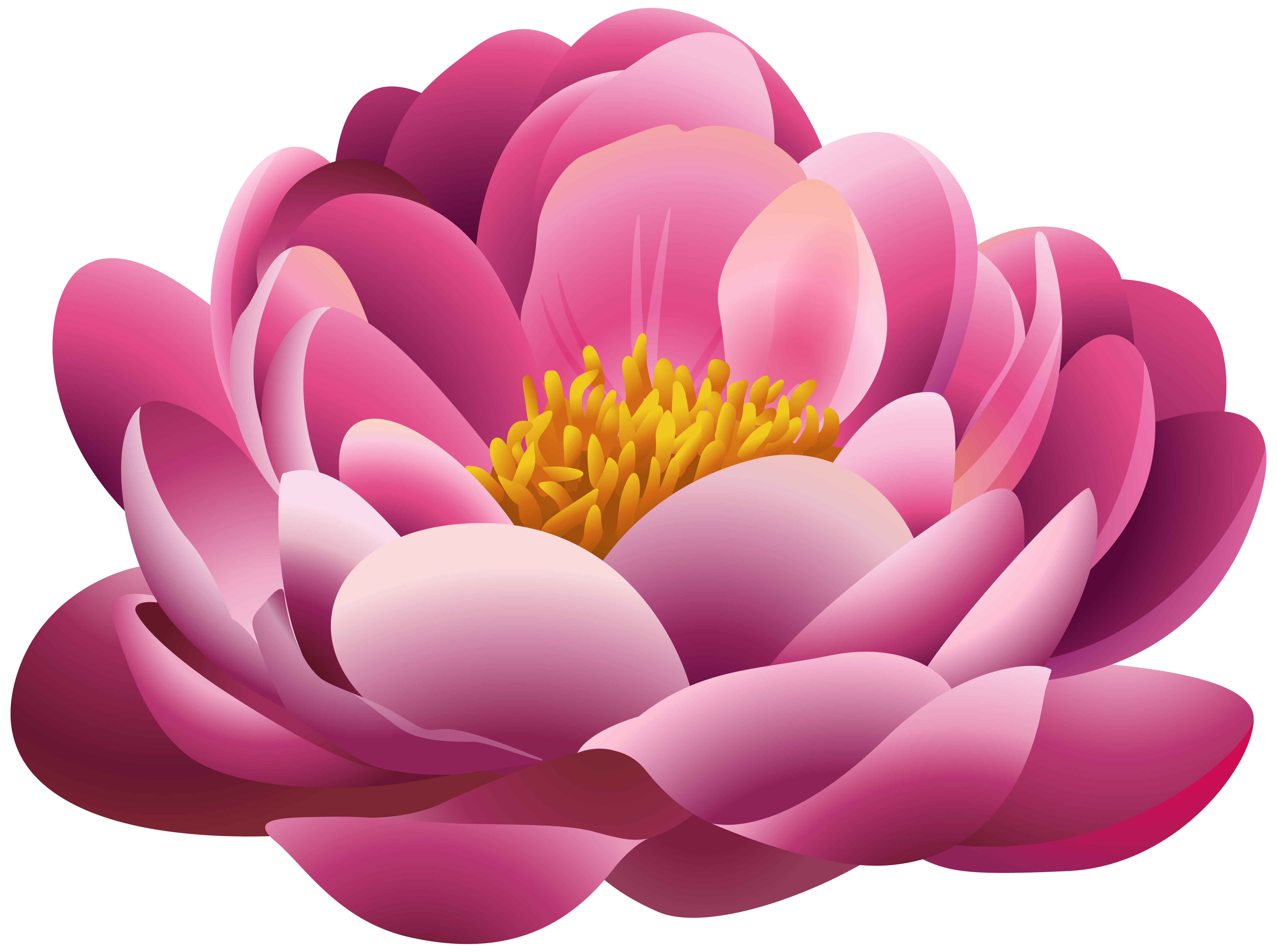 Beautiful Pink Flower PNG Clipart Image.