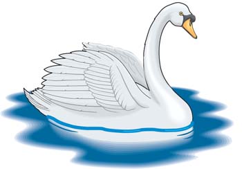 Swan Clip Art, Vector Swan.