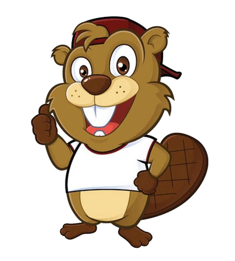 Beaver Clipart Png.