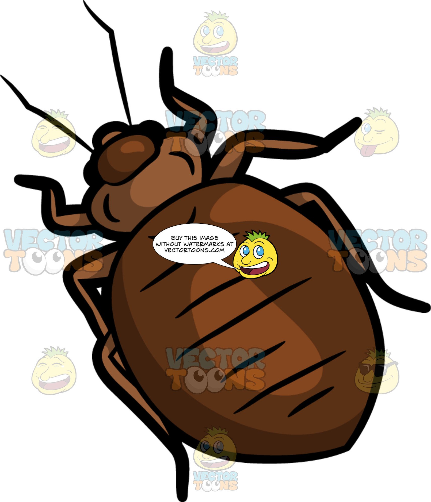 bed bug clipart 20 free Cliparts | Download images on Clipground 2021