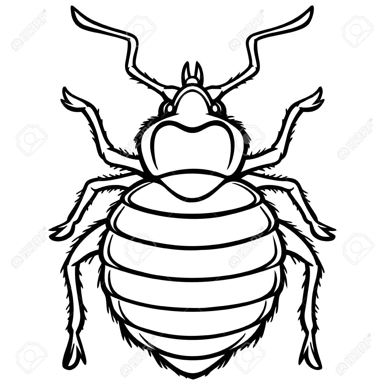 bed bug clipart 20 free Cliparts Download images on Clipground 2023