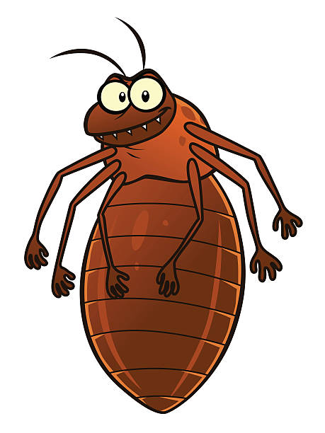 bed bug clipart 20 free Cliparts | Download images on Clipground 2021