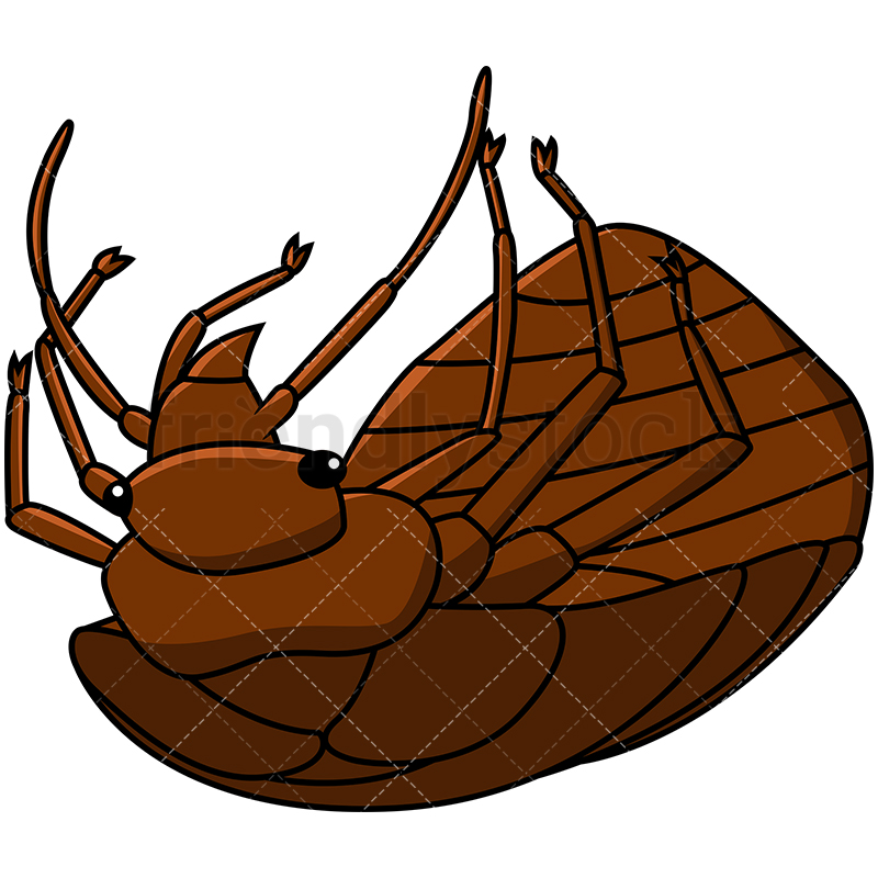 bed bugs clip art 20 free Cliparts | Download images on Clipground 2022