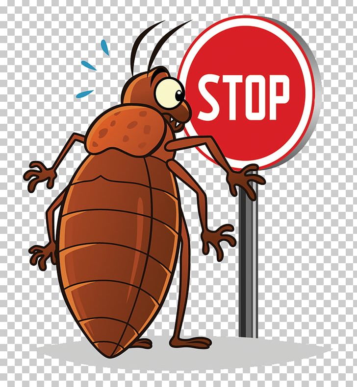 bed bugs clip art 20 free Cliparts | Download images on Clipground 2022