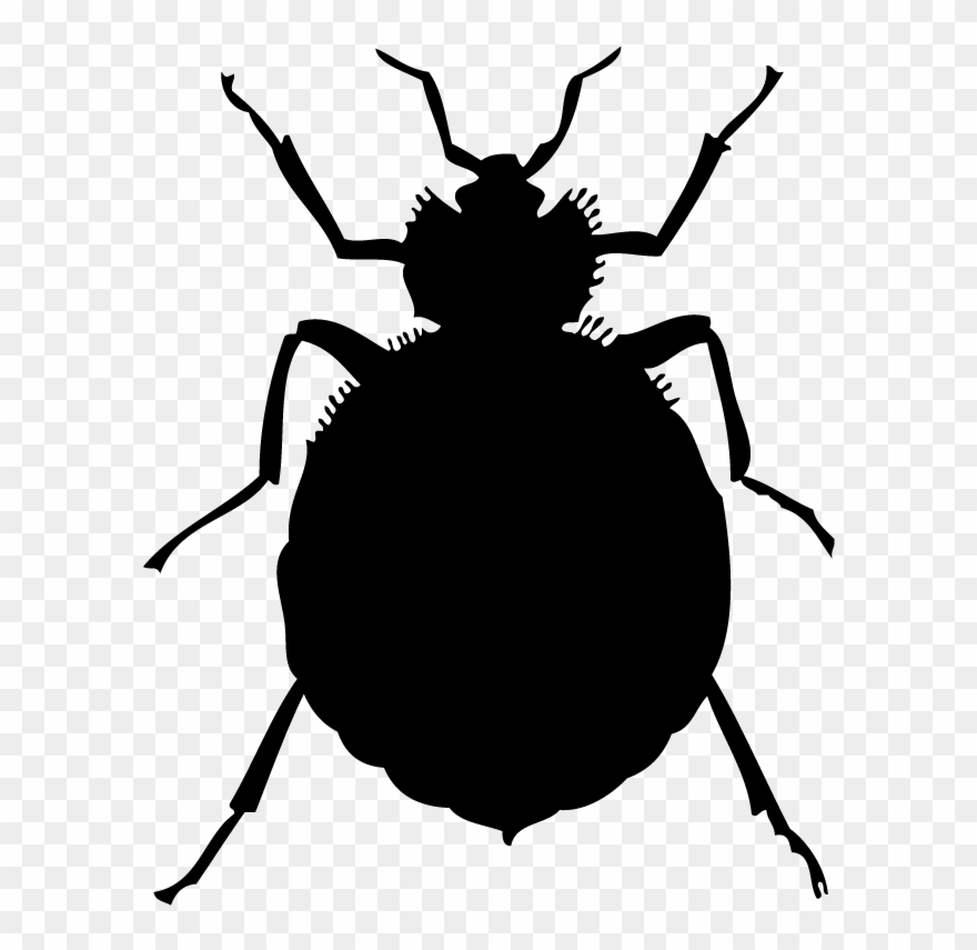 Bed Bugs Clipart.