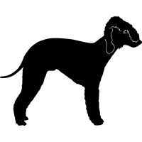 Terrier Dogs Dog Breeds Vector Art Vector Graphics DXF Clip Art.