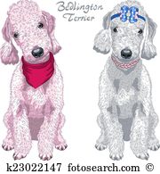 Bedlington terrier Clip Art EPS Images. 10 bedlington terrier.