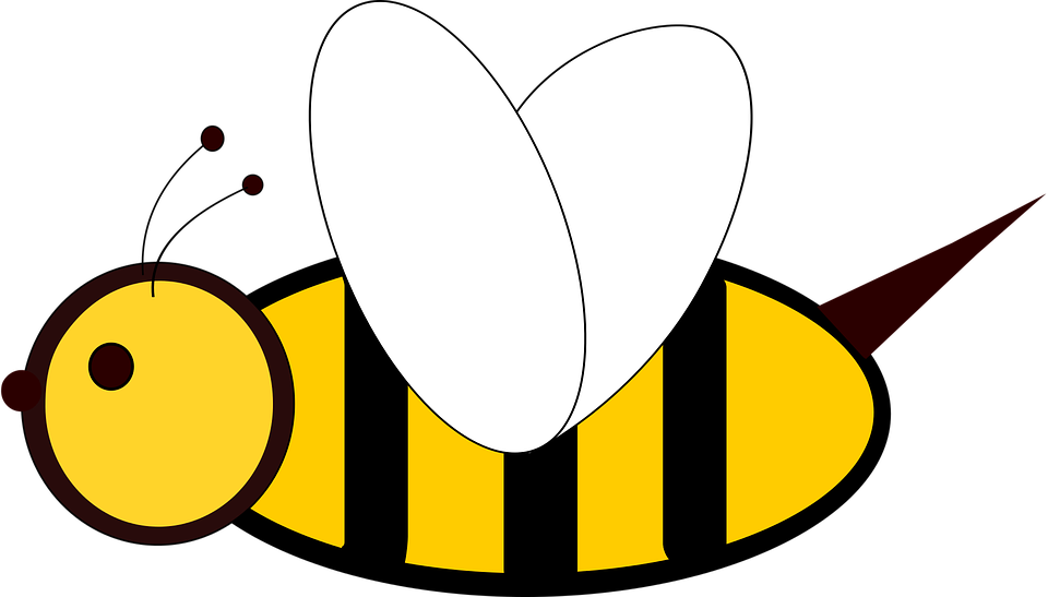 vector 2d bee