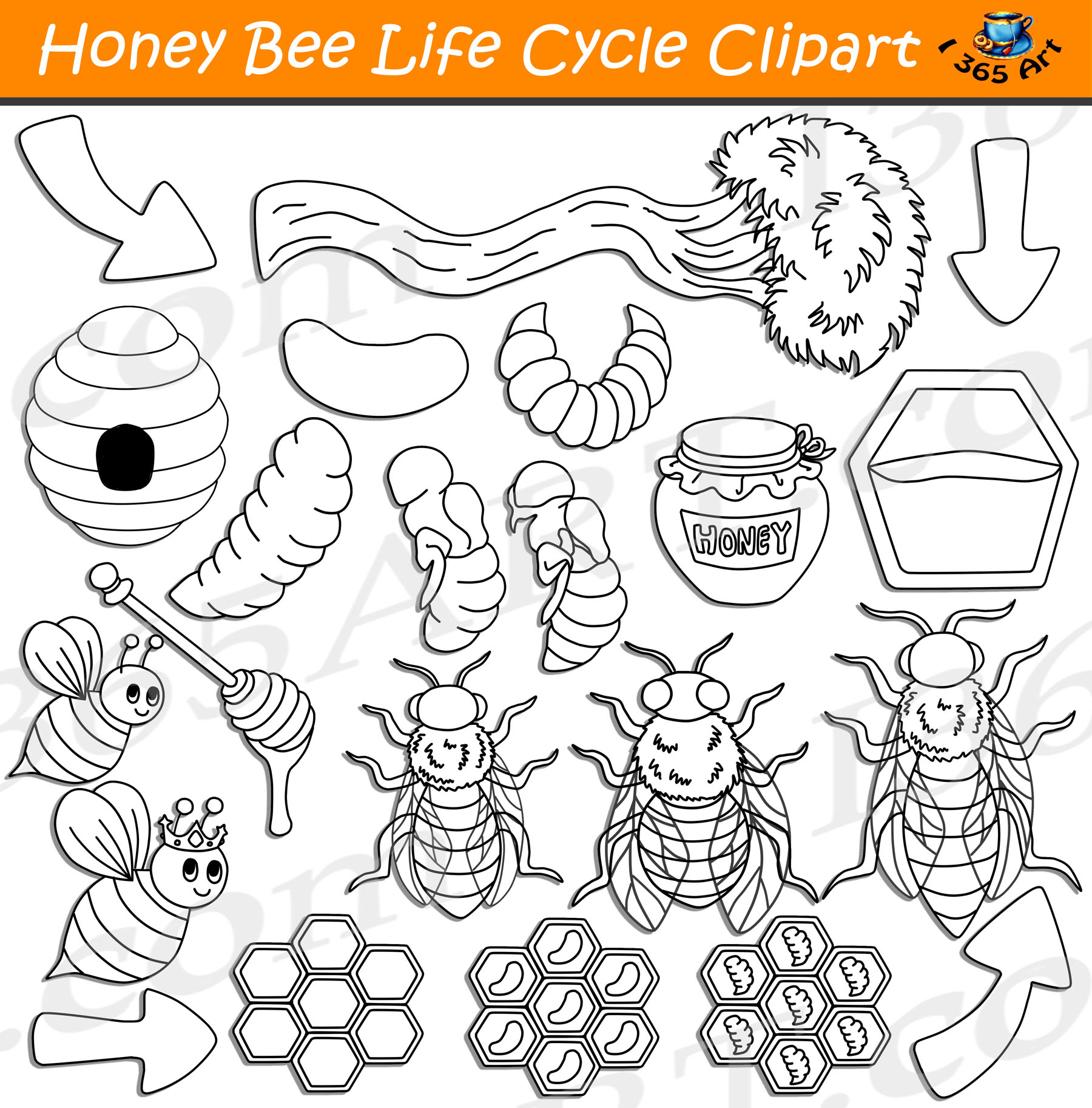 Bee life. Жизненный цикл пчелы. Bee Life Cycle. Bee Worksheets for Kids. Honey Bee Life Cycle.