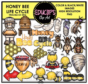 Honey Bee Life Cycle Clip Art Set {Educlips Clipart}.