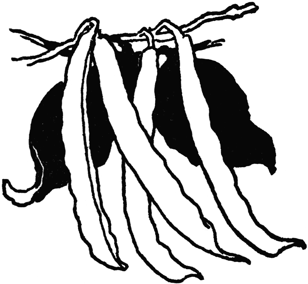 Green Beans Clipart Black And White.
