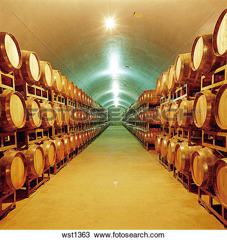 Stock Photo of beer cellar wst1363.