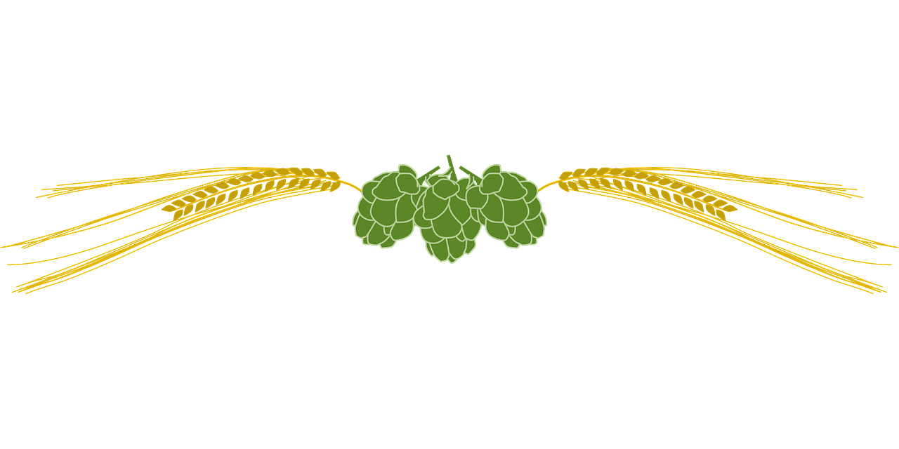 Beer Hops Png 20 Free Cliparts Download Images On Clipground 2024