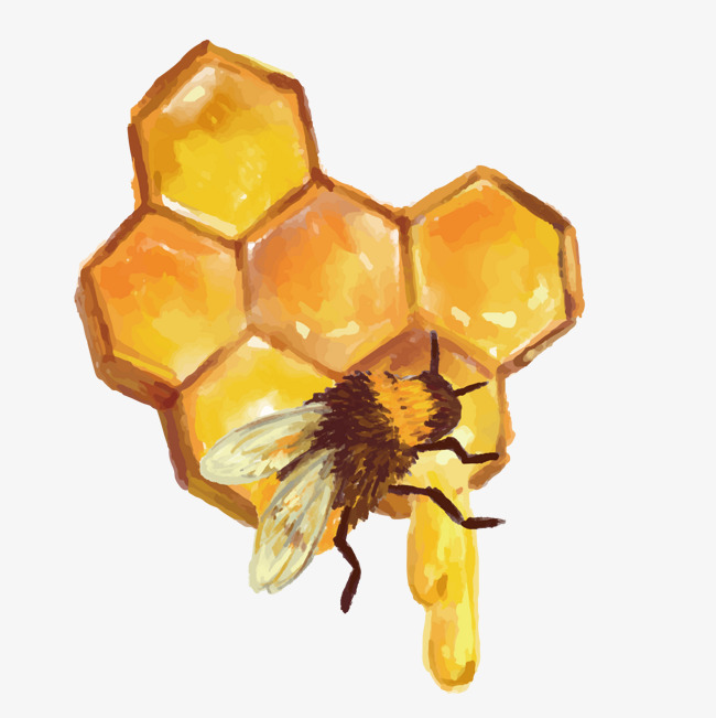 Download Free png Bees Nest Png.