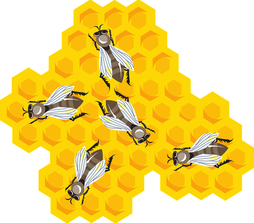 Bees wax clipart 20 free Cliparts | Download images on Clipground 2021