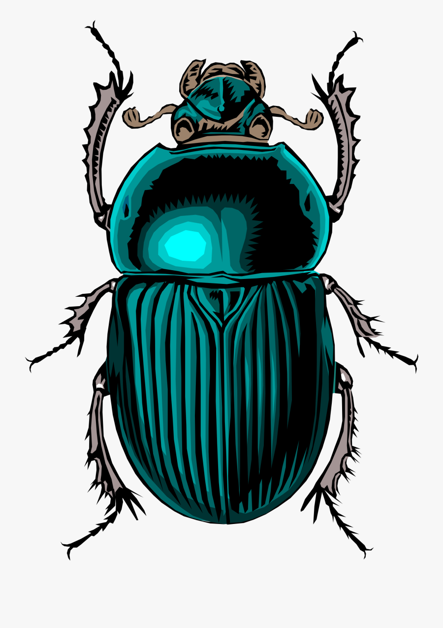 Beetle Clipart Free 10 Cliparts Download Images On Clipground 2021.