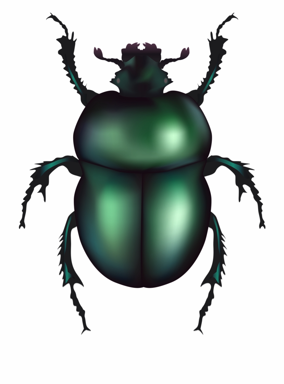 Free Beetle Clipart Black And White, Download Free Clip Art.
