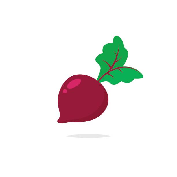 beets clip art 20 free Cliparts | Download images on Clipground 2021