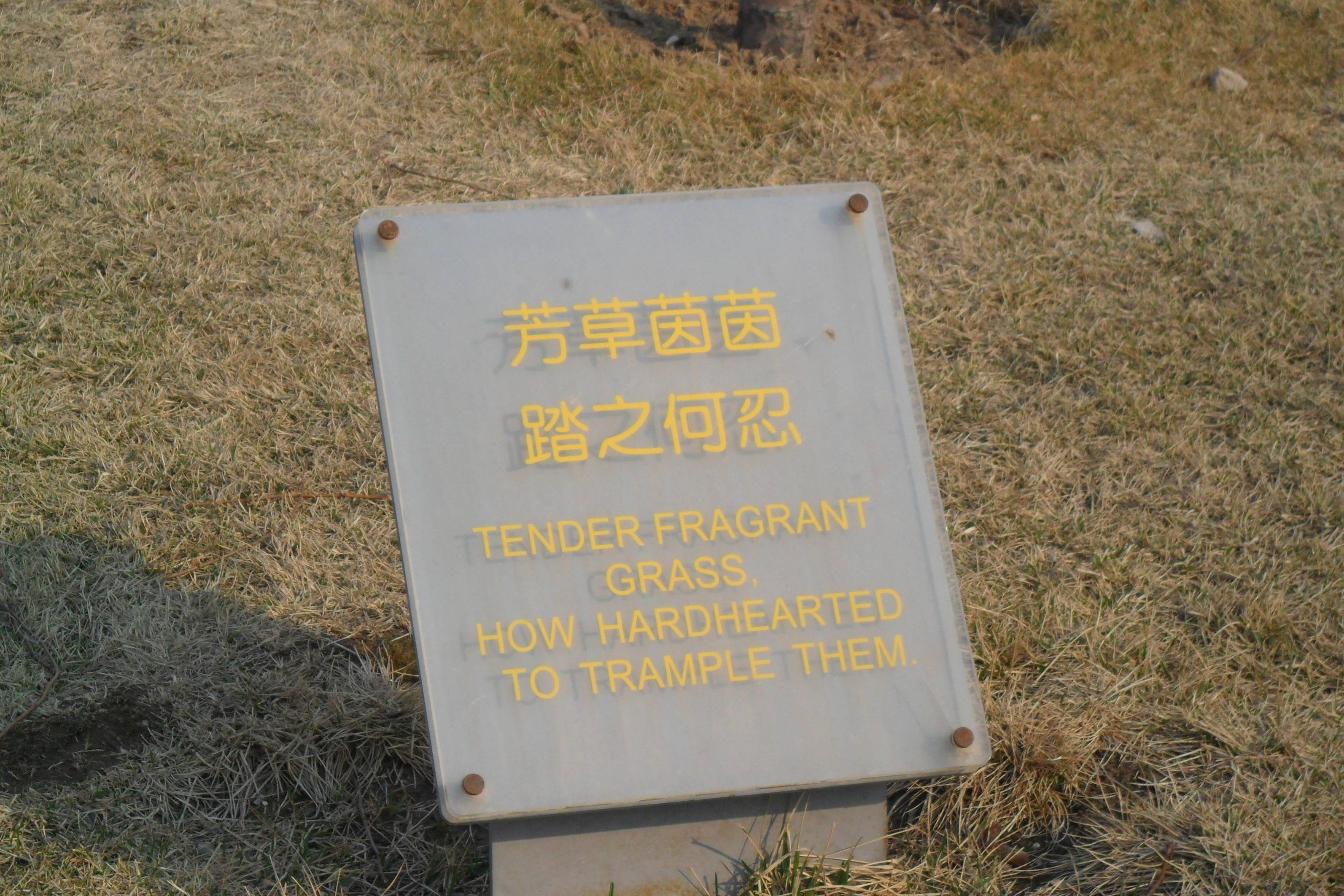 This "Stay Off The Grass" sign in the Beijing Olympic Park appeals.
