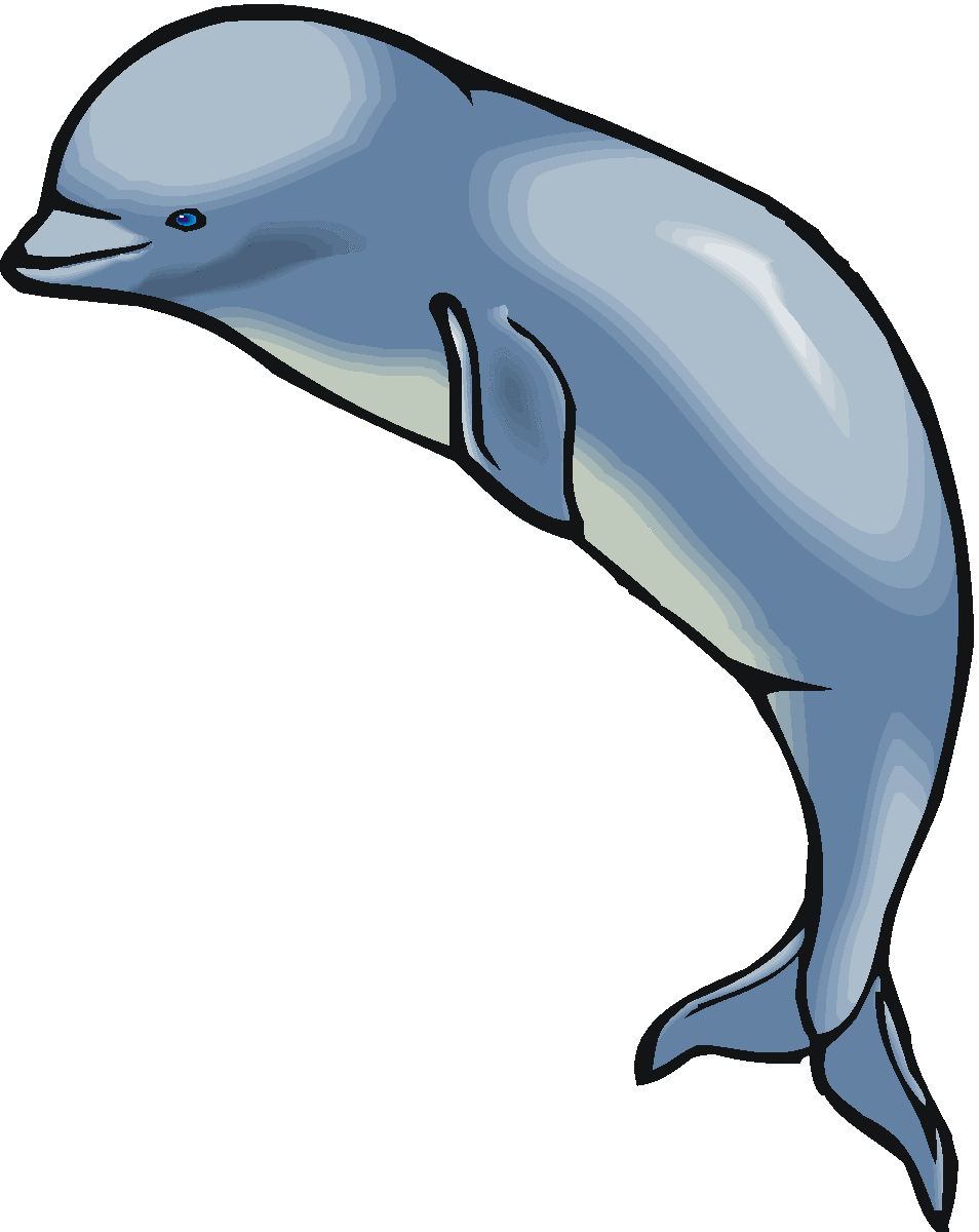 Cute clipart beluga whale.