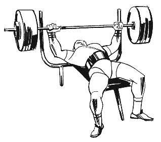 Bench press clipart 20 free Cliparts | Download images on Clipground 2021