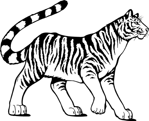 Tiger Clip Art & Tiger Clip Art Clip Art Images.