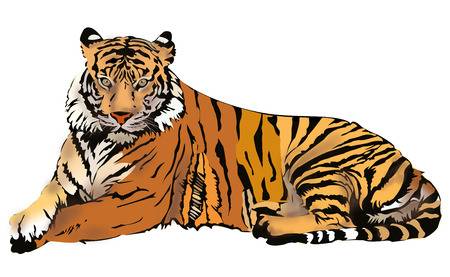 bengal tiger clipart 20 free cliparts  download images on