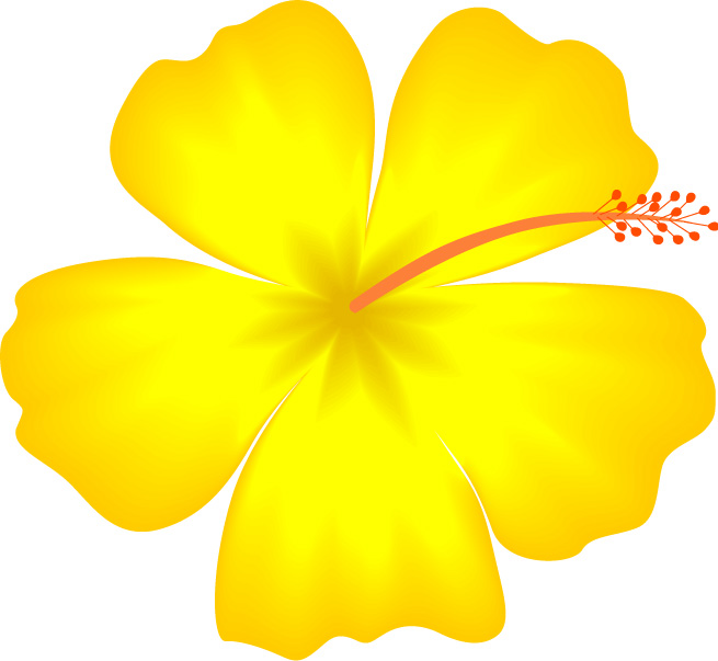 Hawaiian Flower Clipart.