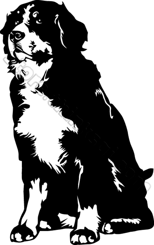 Free Free 136 Bernese Mountain Dog Svg Free SVG PNG EPS DXF File